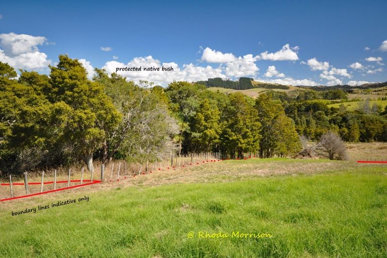 Photo of property in 196 Metcalfe Road, Matakohe, 0593