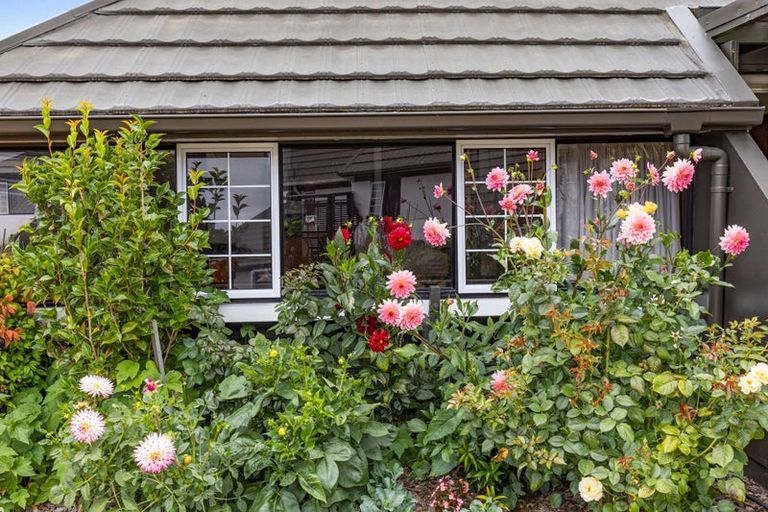 Photo of property in 28 Naumai Street, Motueka, 7120