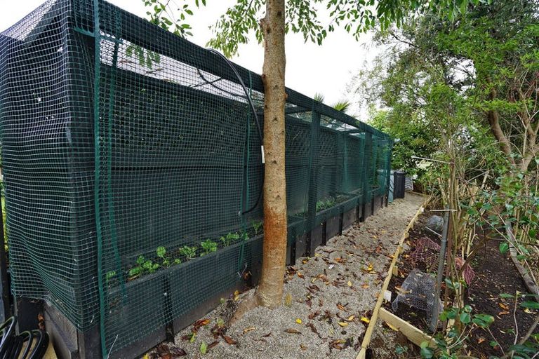 Photo of property in 10 Helmsdale Court, Huntington, Hamilton, 3210