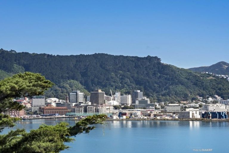 Photo of property in 9u1 Wilkinson Street, Oriental Bay, Wellington, 6011