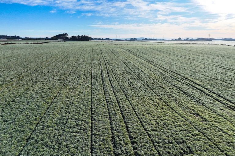 Photo of property in 330 Pomona Road East, Makarewa, Invercargill, 9876