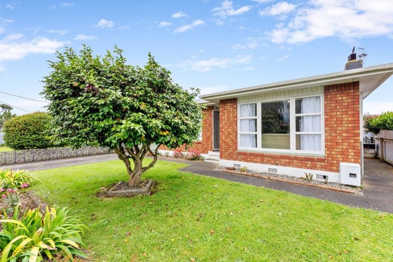 Photo of property in 4 Rata Street, Levin, 5510