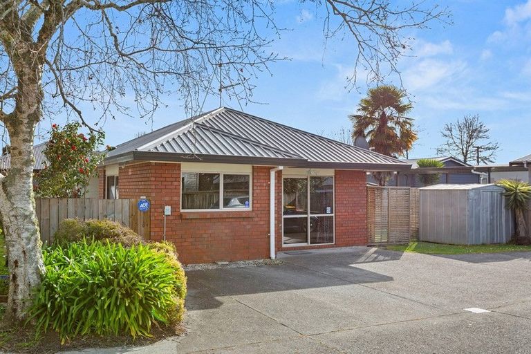 Photo of property in 195 Dey Street, Hamilton East, Hamilton, 3216