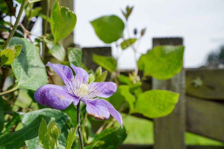 Photo of property in 72 Millton Park Road, Mill Road, Invercargill, 9871