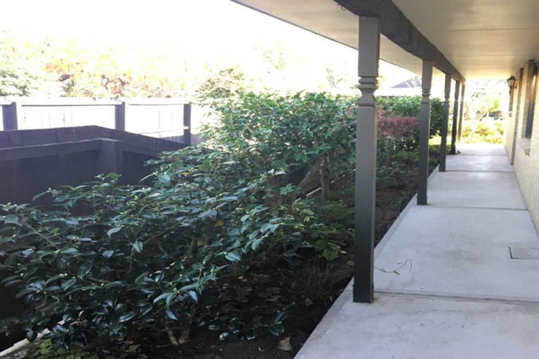 Photo of property in 19 Buchanan Place, Allenton, Ashburton, 7700