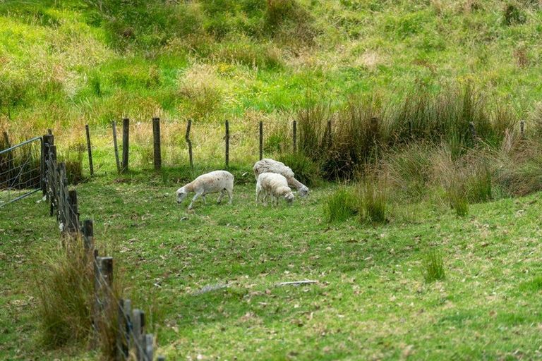 Photo of property in 585 Inland Road, Helensville, 0875