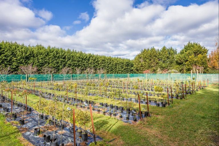 Photo of property in 138 Harrs Road, Swannanoa, Kaiapoi, 7692