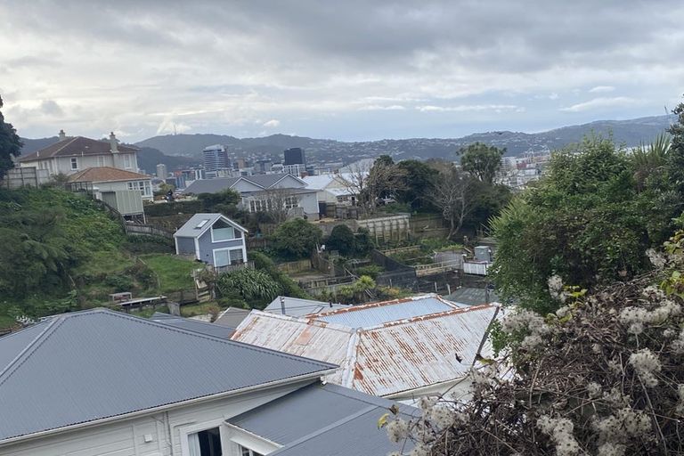 Photo of property in 40 Hargreaves Street, Mount Cook, Wellington, 6021