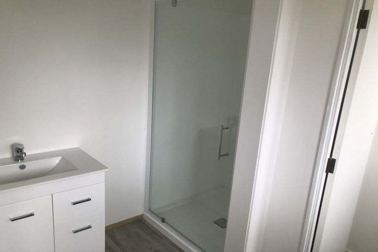Photo of property in 249 Ulster Street, Whitiora, Hamilton, 3200