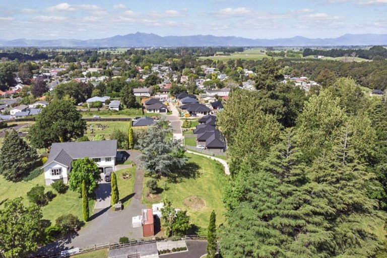 Photo of property in 10 Memorial Rise, Morrinsville, 3300