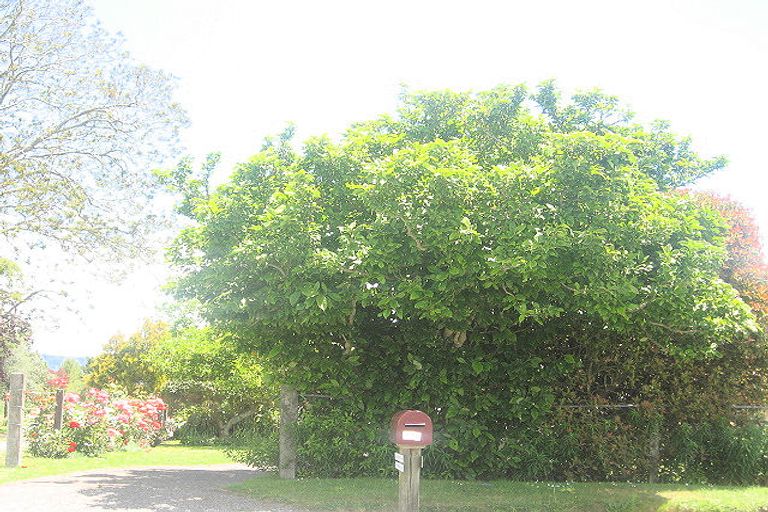 Photo of property in 1/308 No 1 Road, Te Puke, 3182