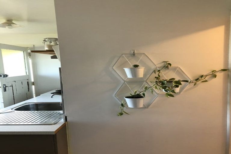 Photo of property in 53 Marewa Road, Hataitai, Wellington, 6021