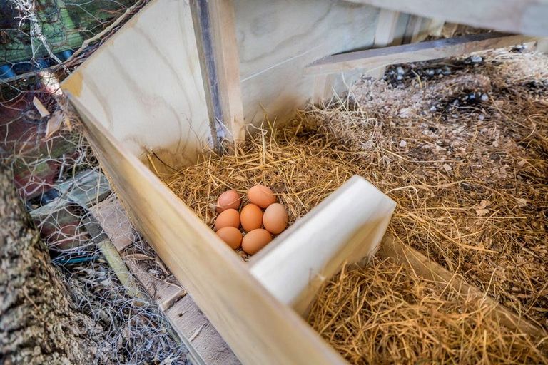 Photo of property in 12 Miro Street, Merrilands, New Plymouth, 4312