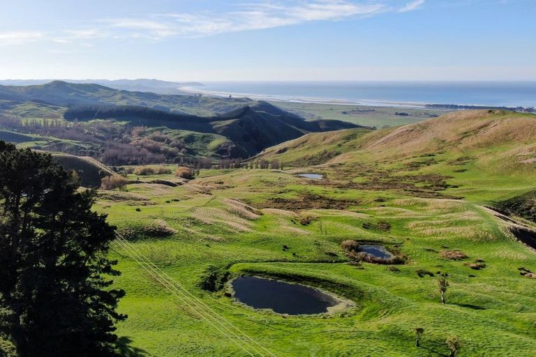 Photo of property in 668b Old Hill Road, Porangahau, 4291