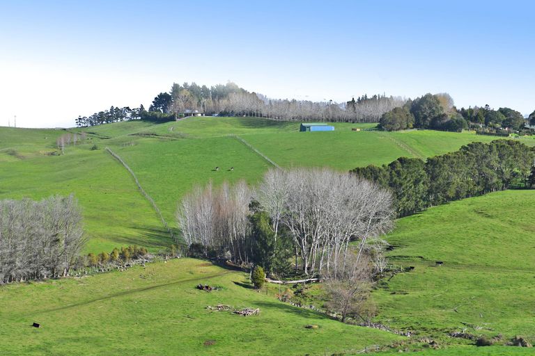 Photo of property in 210 Staniforth Road, Kaiwaka, Wellsford, 0975