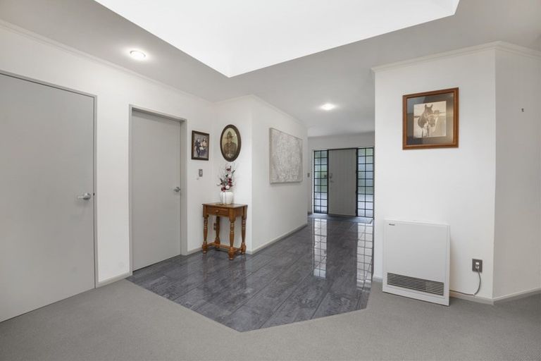 Photo of property in 87 Macarthur Street, Levin, 5510