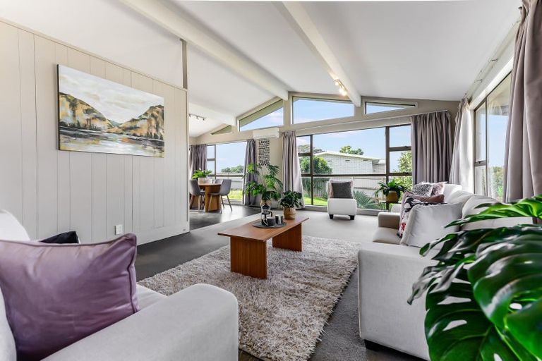 Photo of property in 32 Newcastle Road, Dinsdale, Hamilton, 3204