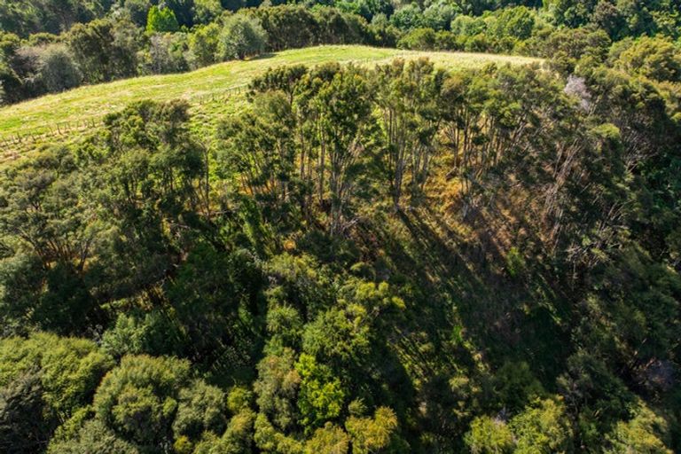 Photo of property in 305 Waingaro Road, Ngaruawahia, 3793