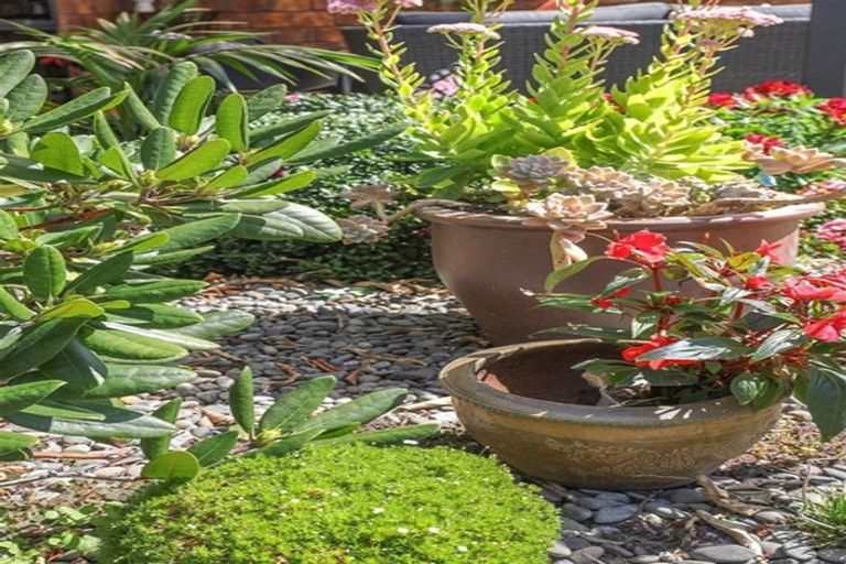 Photo of property in 1 Merlot Place, Te Kauwhata, 3710