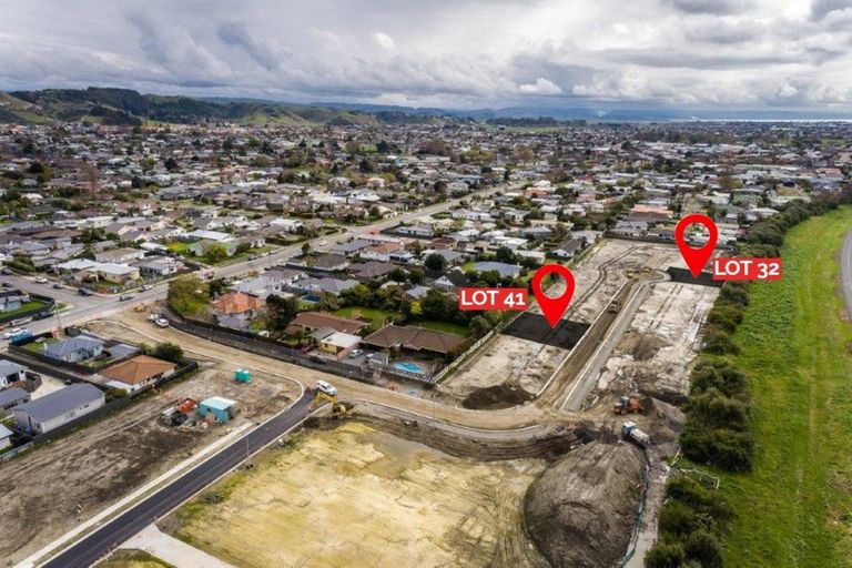 Photo of property in 24 George Yee Place, Taradale, 4112