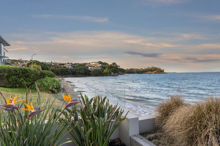 Photo of property in 1/31 Craig Road, Milford, Auckland, 0620