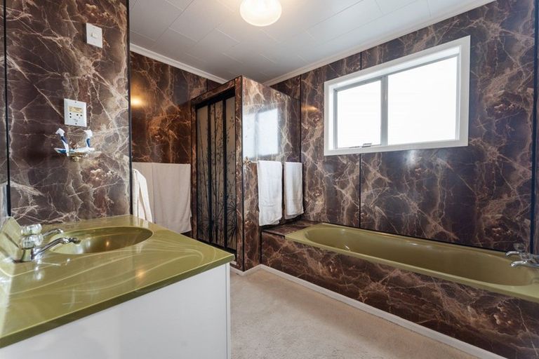 Photo of property in 165 Opunake Road, Stratford, 4391