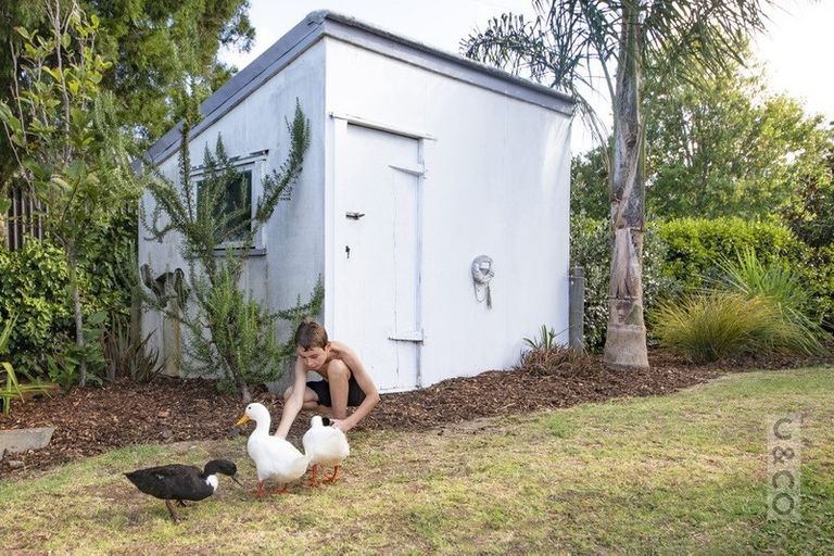 Photo of property in 18 Kent Terrace, Riverhead, 0820