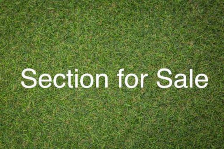 Photo of property in 42 Lisle Farm Drive, Pukekohe, 2120