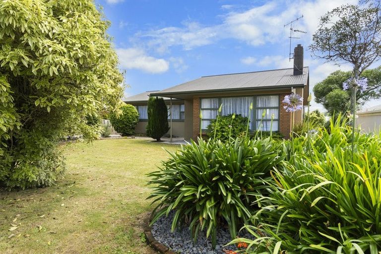 Photo of property in 19 Pelorus Street, Glenview, Hamilton, 3206