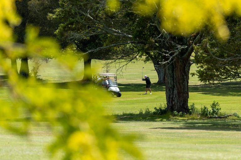 Photo of property in 8 Terrylyn Drive, Hillcrest, Auckland, 0627