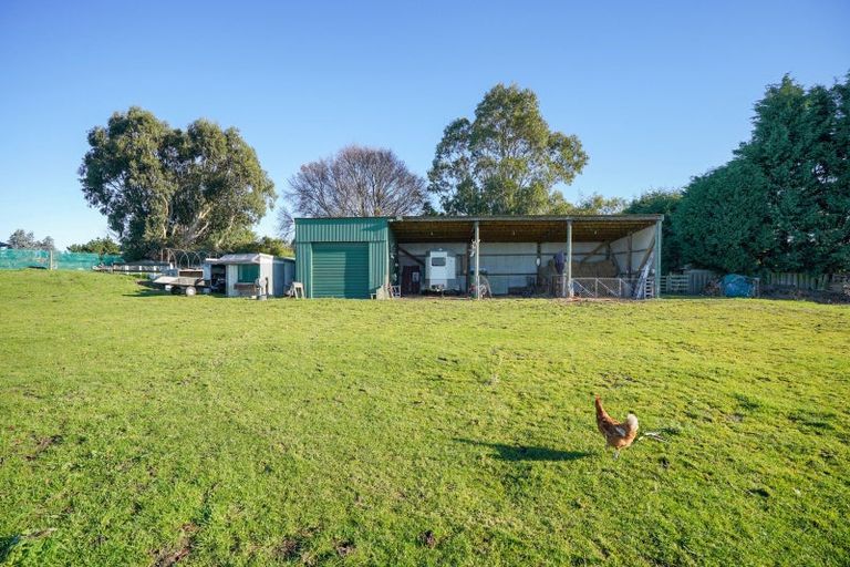 Photo of property in 143 Black Road, Otatara, Invercargill, 9879