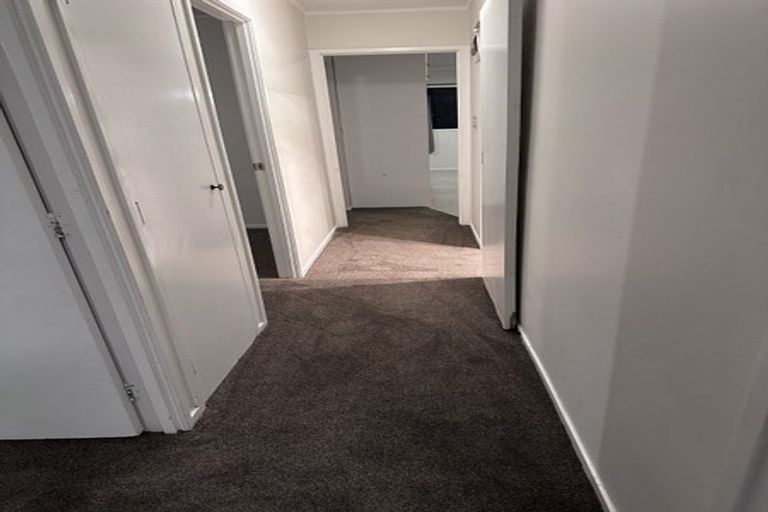 Photo of property in 133 Finlayson Avenue, Clendon Park, Auckland, 2103