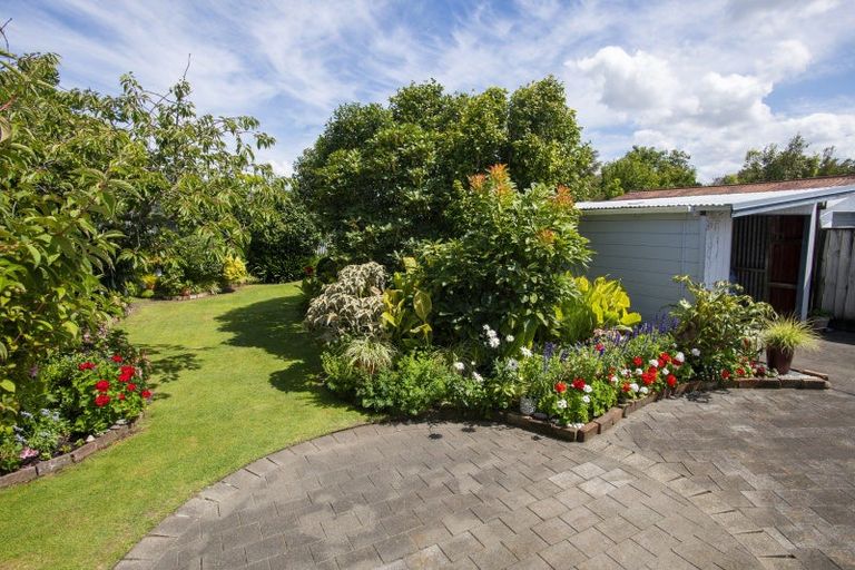 Photo of property in 10 Collins Street, Te Hapara, Gisborne, 4010