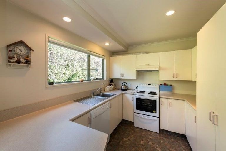 Photo of property in 45 Youghal Street, Wanaka, 9305