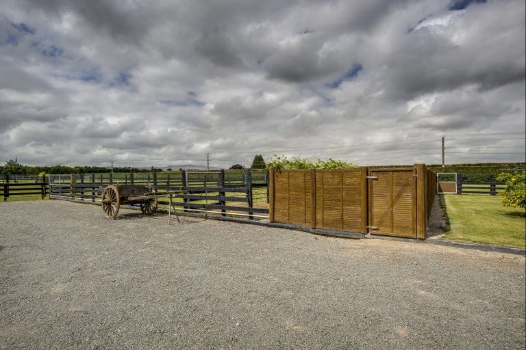 Photo of property in 1316 Southland Road, Longlands, Hastings, 4120