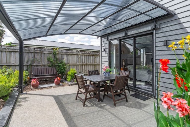 Photo of property in 42a Cole Street, Masterton, 5810