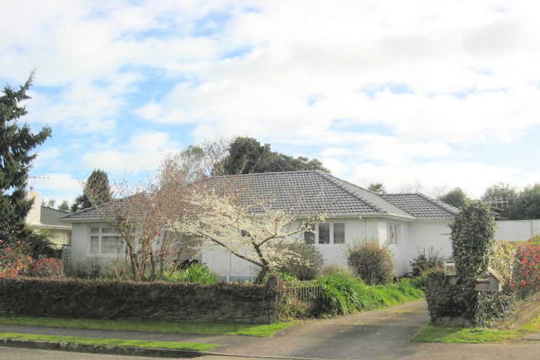 Photo of property in 22 Gordon Place, Levin, 5510