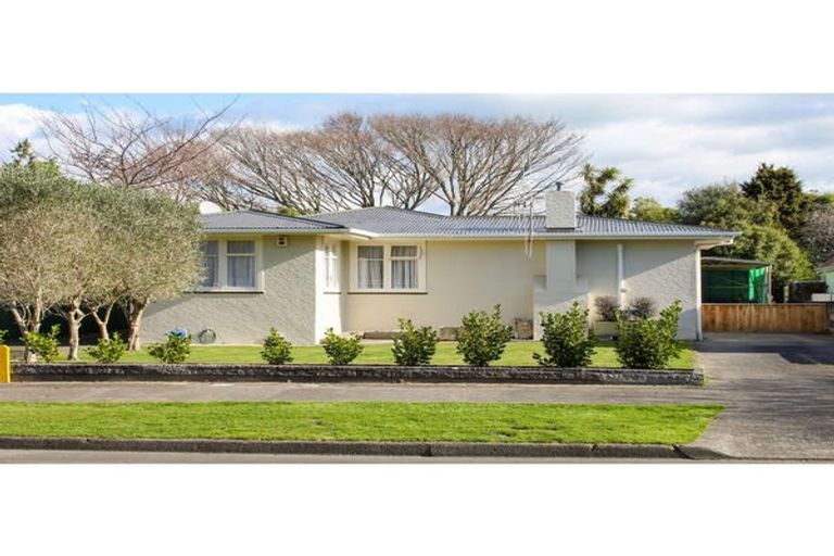 Photo of property in 51 Parkland Crescent, Terrace End, Palmerston North, 4410