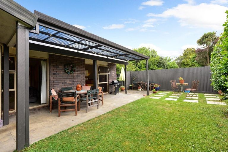 Photo of property in 47f Naylor Street, Hamilton East, Hamilton, 3216