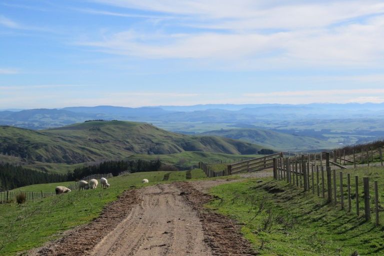 Photo of property in 668c Old Hill Road, Porangahau, 4291