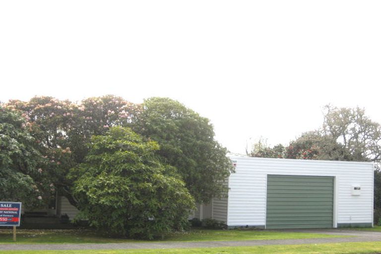 Photo of property in 14 Antonio Street, Stratford, 4332