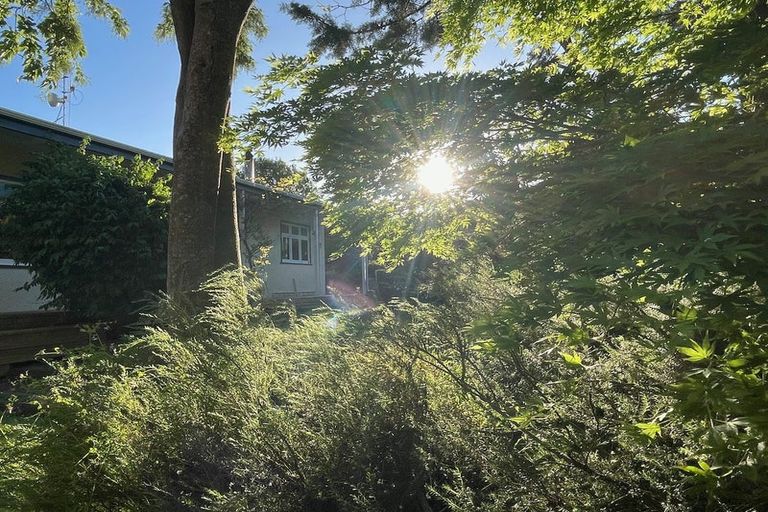 Photo of property in 589 Pohangina Road, Ashhurst, 4884