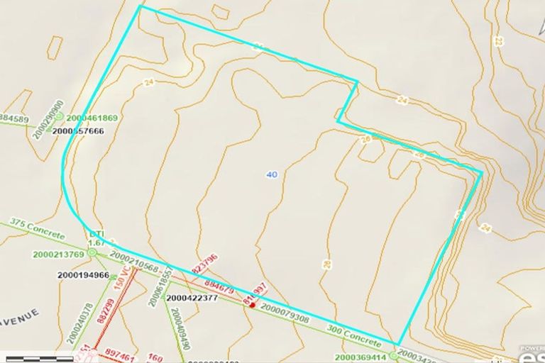 Photo of property in 40 Rankin Avenue, New Lynn, Auckland, 0600