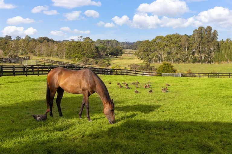 Photo of property in 145 Hanham Road, Kumeu, 0891