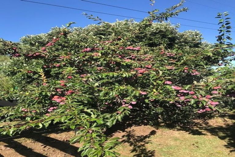 Photo of property in 19 Lloyd Road, Riverhead, Albany, 0793