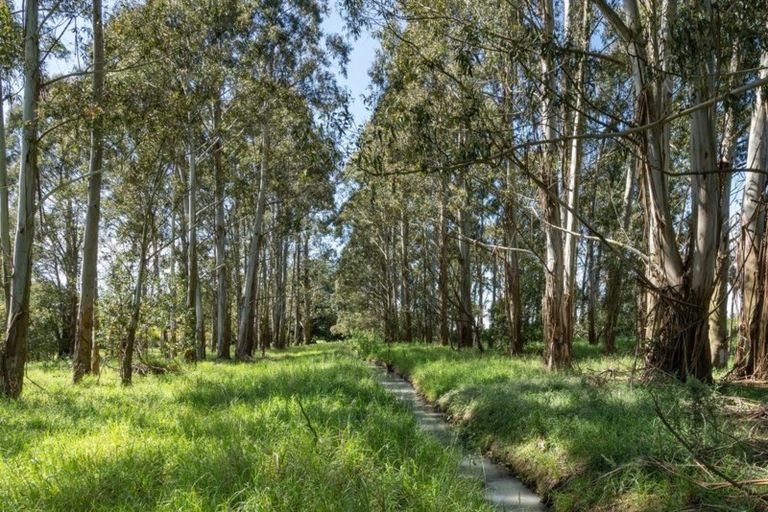 Photo of property in 180 Paige Place, Rolleston, Christchurch, 7678