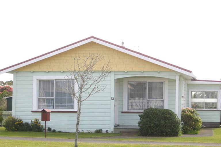 Photo of property in 12 Antonio Street, Stratford, 4332