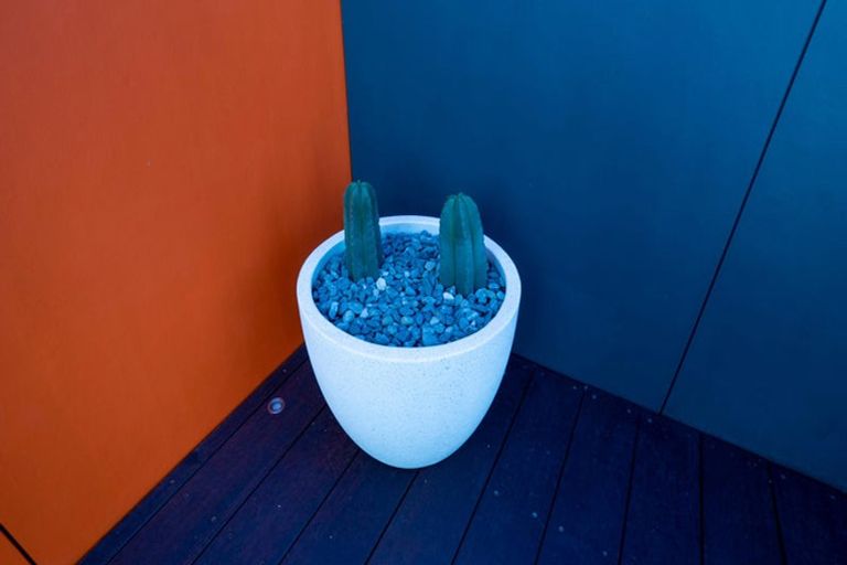 Photo of property in 197 Sutherland Road, Lyall Bay, Wellington, 6022