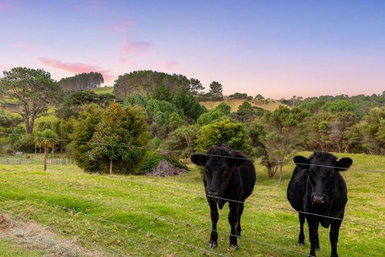 Photo of property in 499 Shelly Beach Road, South Head, Helensville, 0874
