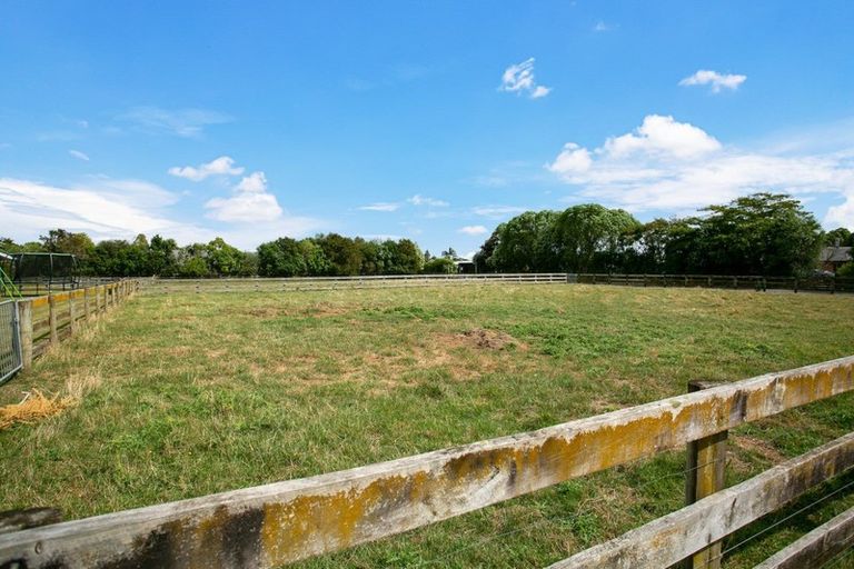 Photo of property in 57 Saint Kilda Road, Cambridge, 3434